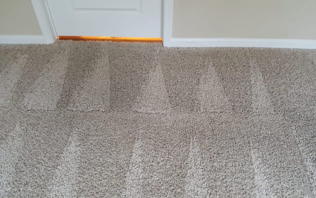 low moisture carpet cleaning