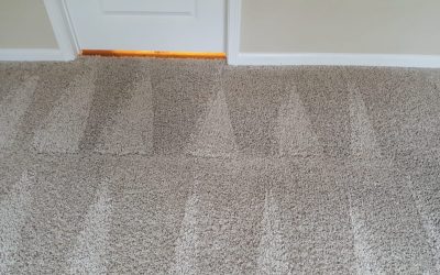 Low Moisture Cleaning vs. Hot Water Extraction