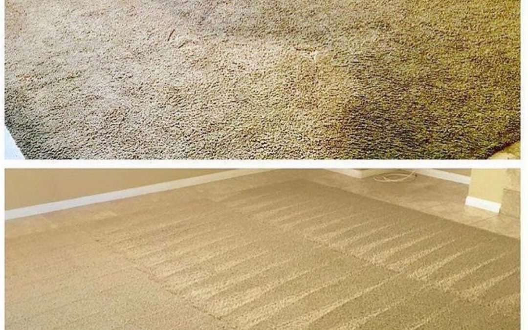 Role of Polymers in Encapsulation Carpet Cleaning