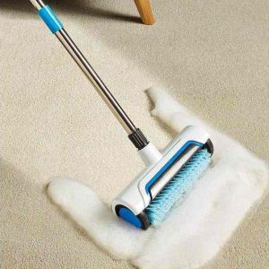 EZ-Carpet & Rug Renovator